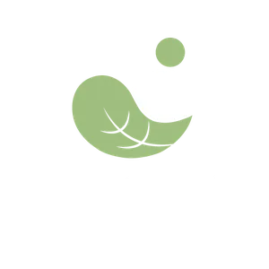 Nós na Criação